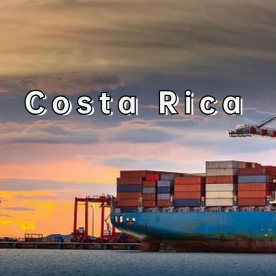 Transport maritime de Shanghai, Chine au Costa Rica, DDP